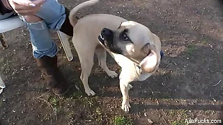 Only Asian Porn Videos 6